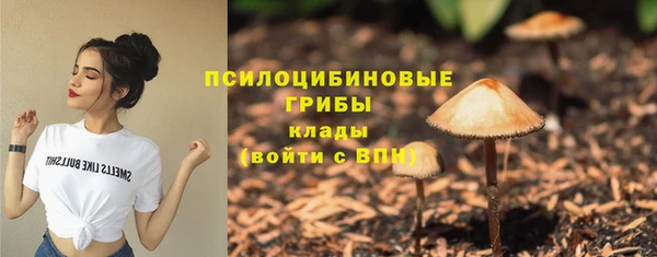 a pvp Кулебаки