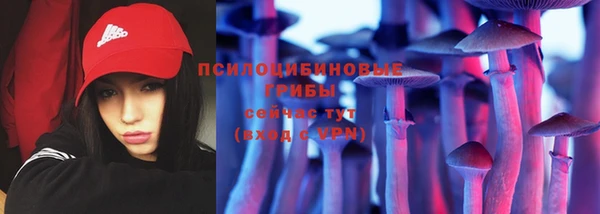 a pvp Кулебаки